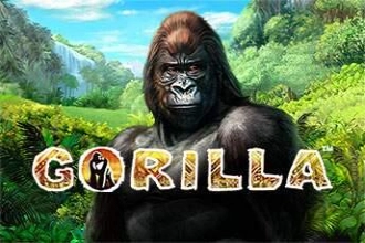 09343 gorilla